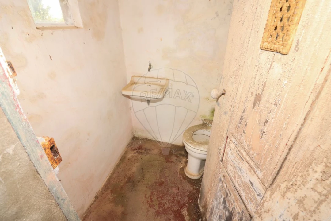 Moradia T5 para Venda em Ribafria e Pereiro de Palhacana Foto 15