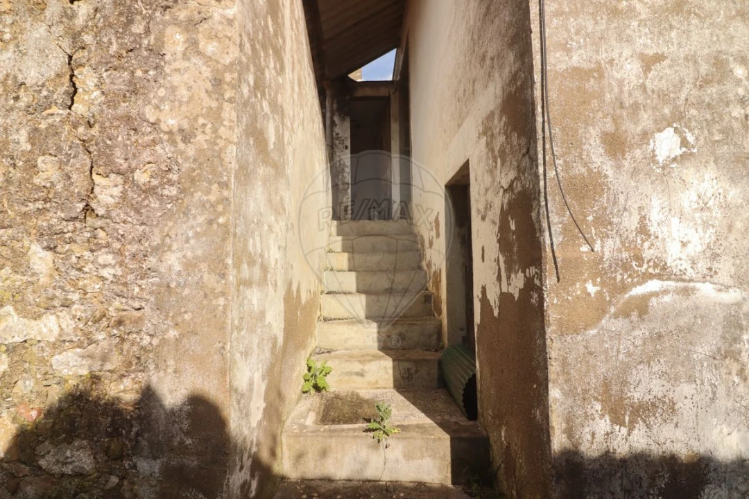 Moradia T5 para Venda em Ribafria e Pereiro de Palhacana Foto 14