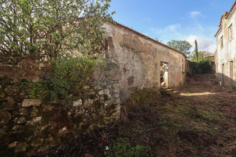 Moradia T5 para Venda em Ribafria e Pereiro de Palhacana Foto 4