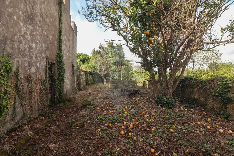 Moradia T5 para Venda em Ribafria e Pereiro de Palhacana Foto 33