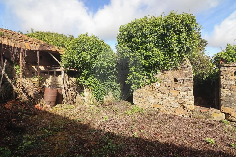 Moradia T5 para Venda em Ribafria e Pereiro de Palhacana Foto 28