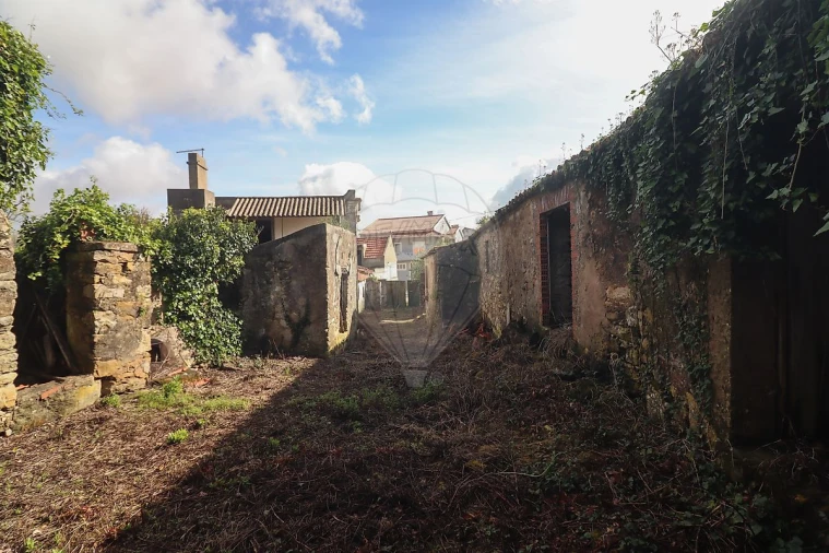 Moradia T5 para Venda em Ribafria e Pereiro de Palhacana Foto 30