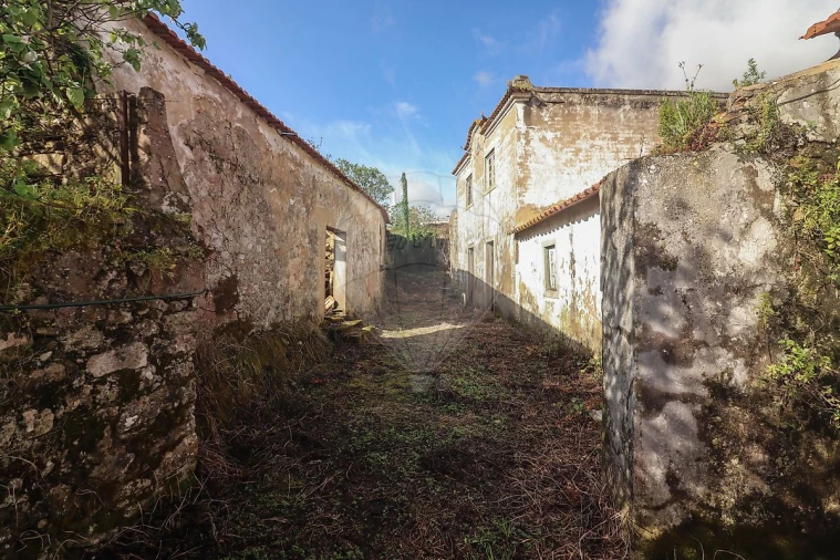 Moradia T5 para Venda em Ribafria e Pereiro de Palhacana Foto 3