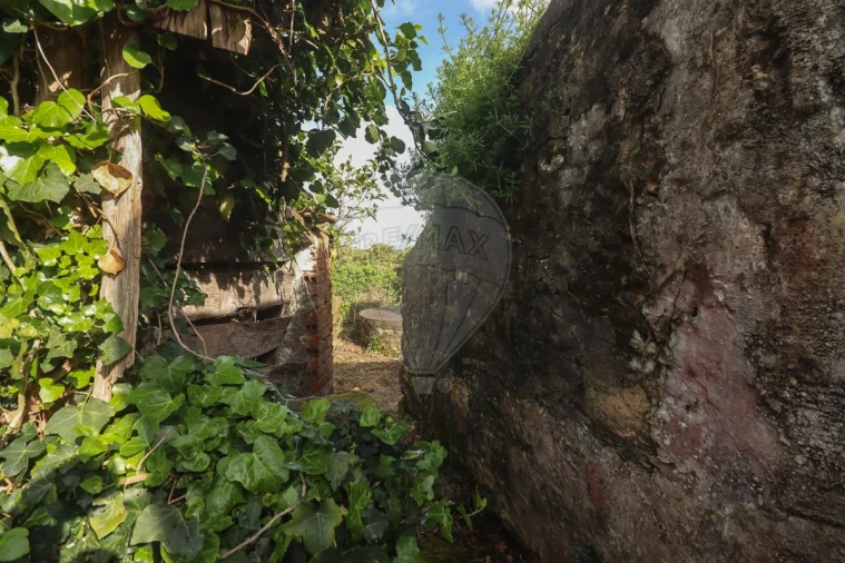 Moradia T5 para Venda em Ribafria e Pereiro de Palhacana Foto 38