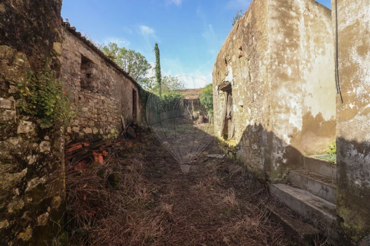 Moradia T5 para Venda em Ribafria e Pereiro de Palhacana Foto 24