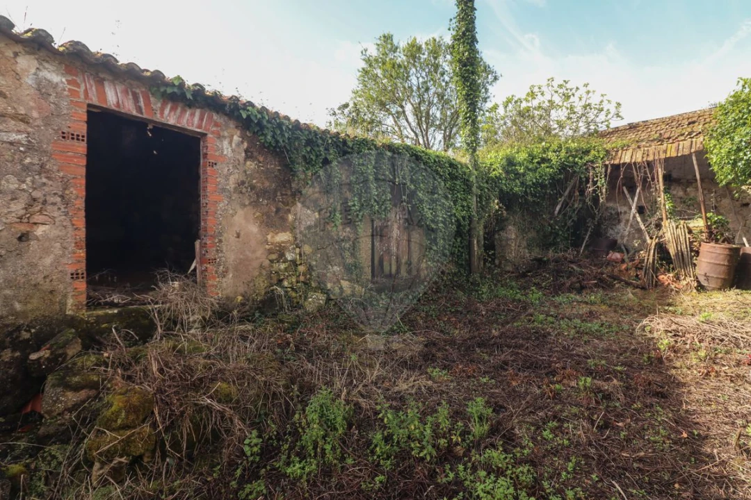 Moradia T5 para Venda em Ribafria e Pereiro de Palhacana Foto 29