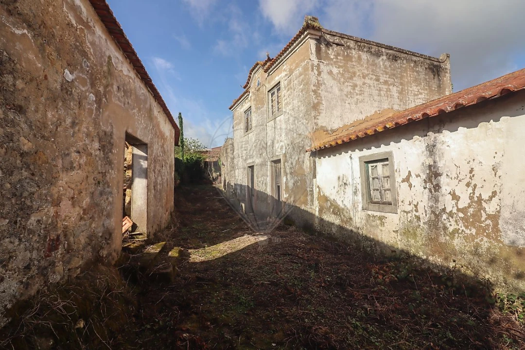 Moradia T5 para Venda em Ribafria e Pereiro de Palhacana Foto 22