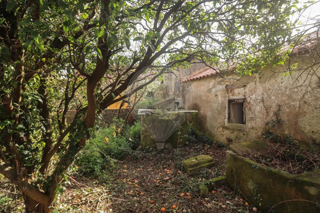 Moradia T5 para Venda em Ribafria e Pereiro de Palhacana Foto 41