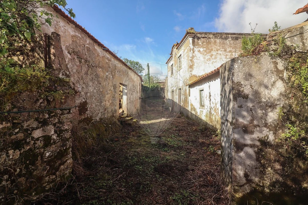 Moradia T5 para Venda em Ribafria e Pereiro de Palhacana Foto 3