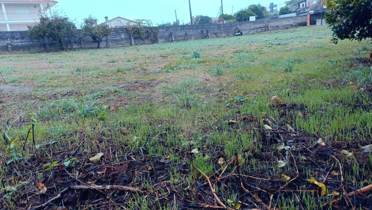 Terreno para Venda em Canelas e Fermelã Foto 5