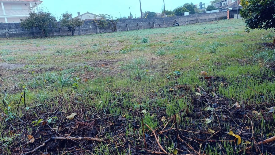 Terreno para Venda em Canelas e Fermelã Foto 5