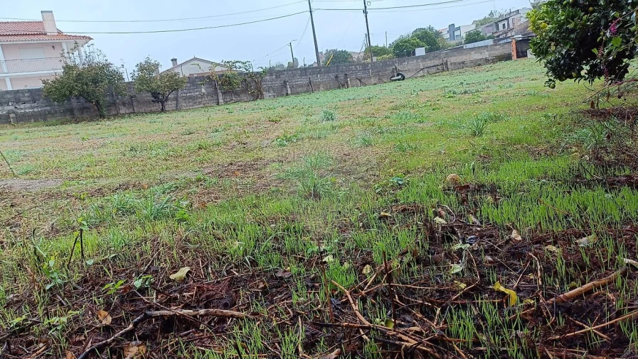 Terreno para Venda em Canelas e Fermelã Foto 6