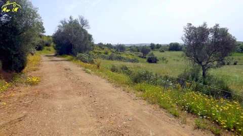 Terreno Agricola ou Rústico para Venda em Azinhal