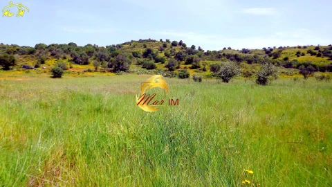 Terreno Agricola ou Rústico para Venda em Azinhal