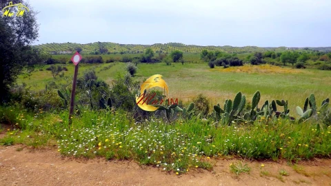 Terreno Agricola ou Rústico para Venda em Azinhal