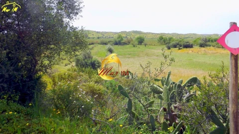 Terreno Agricola ou Rústico para Venda em Azinhal
