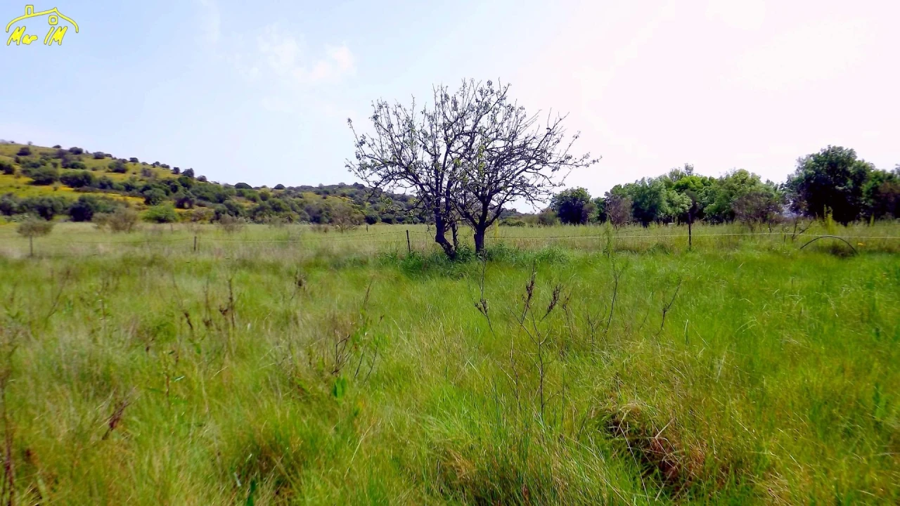 Terreno Agricola ou Rústico para Venda em Azinhal Foto 22