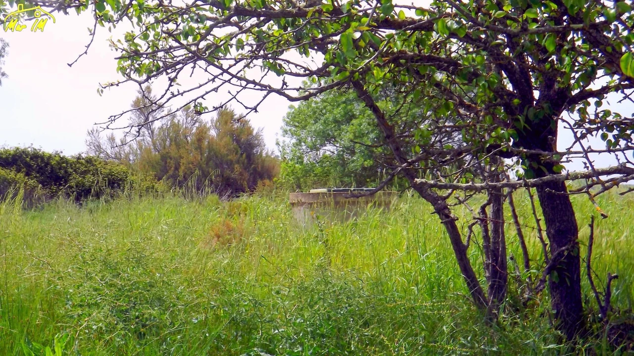 Terreno Agricola ou Rústico para Venda em Azinhal Foto 20