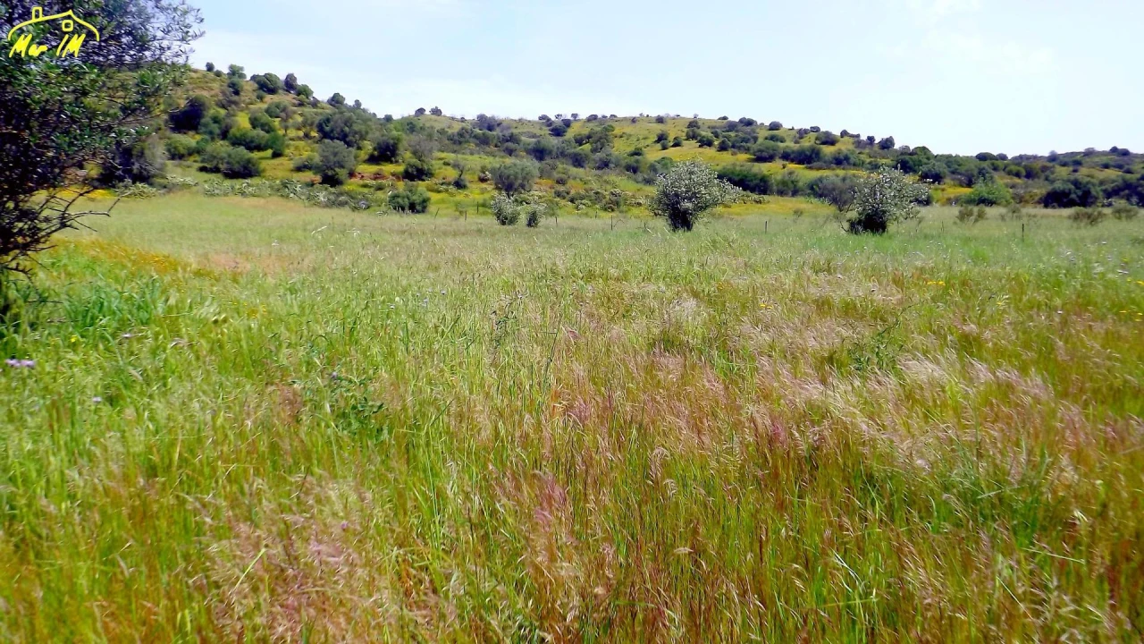 Terreno Agricola ou Rústico para Venda em Azinhal Foto 25