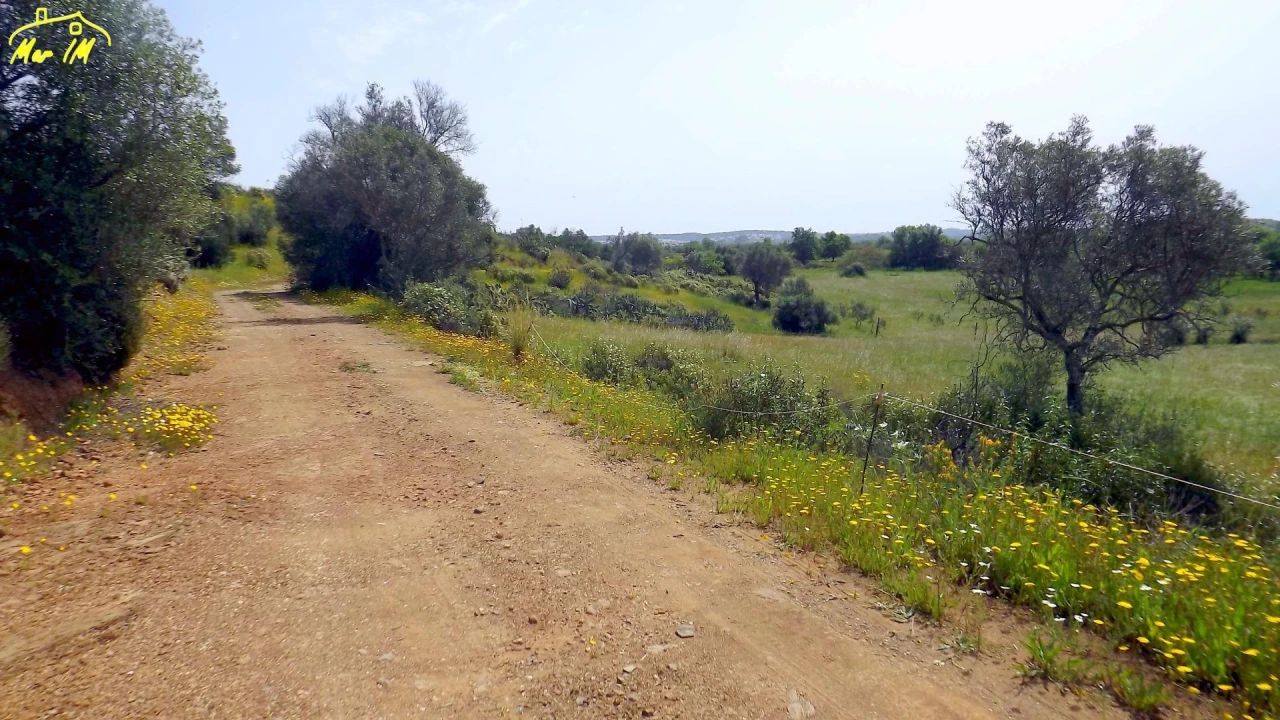 Terreno Agricola ou Rústico para Venda em Azinhal Foto 4