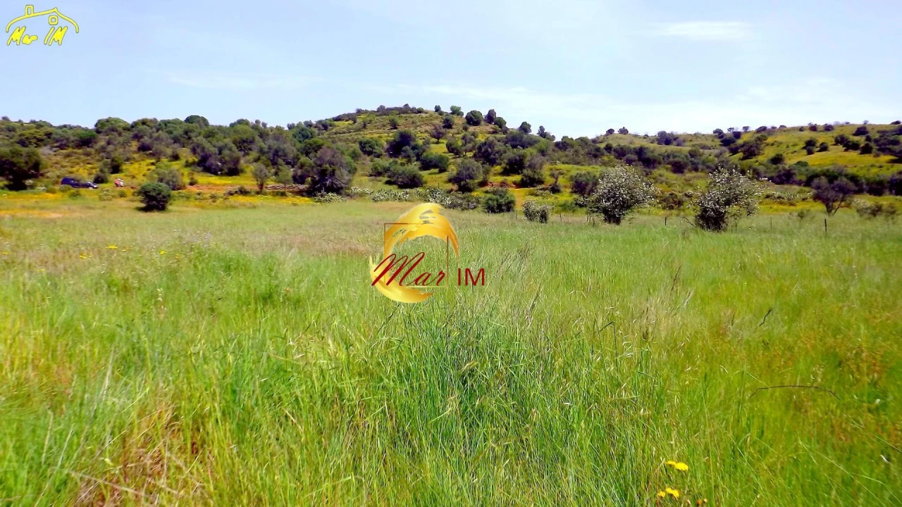 Terreno Agricola ou Rústico para Venda em Azinhal Foto 1
