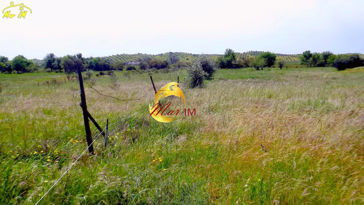 Terreno Agricola ou Rústico para Venda em Azinhal Foto 14