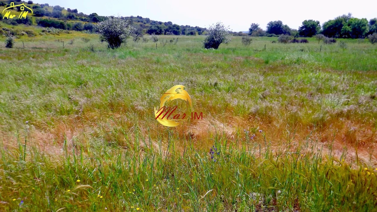 Terreno Agricola ou Rústico para Venda em Azinhal Foto 28