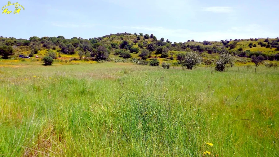Terreno Agricola ou Rústico para Venda em Azinhal Foto 1