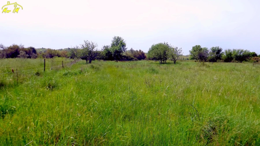 Terreno Agricola ou Rústico para Venda em Azinhal Foto 17