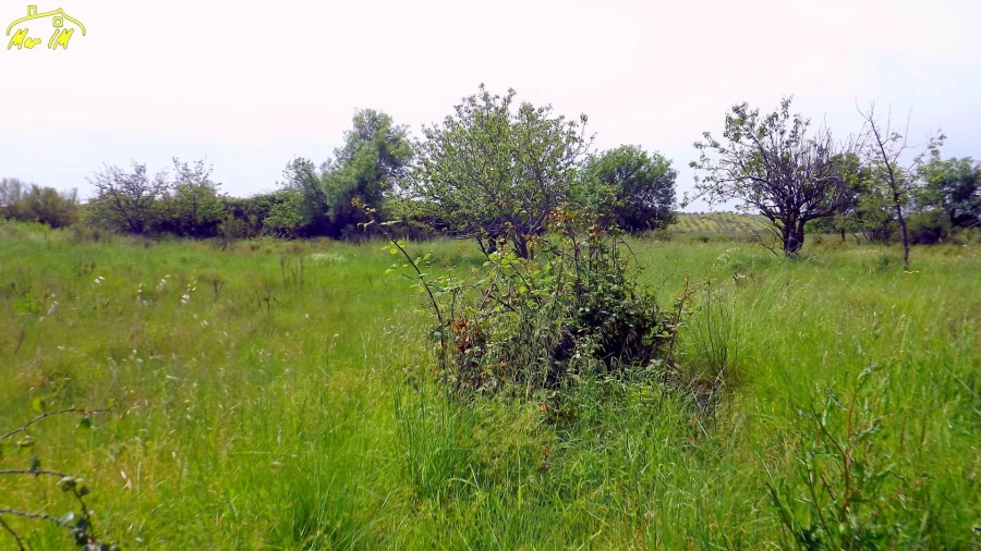 Terreno Agricola ou Rústico para Venda em Azinhal Foto 18