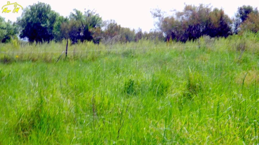 Terreno Agricola ou Rústico para Venda em Azinhal Foto 20