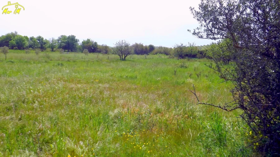 Terreno Agricola ou Rústico para Venda em Azinhal Foto 26