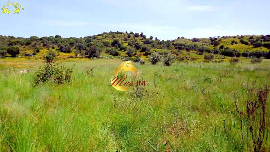 Terreno Agricola ou Rústico para Venda em Azinhal Foto 22