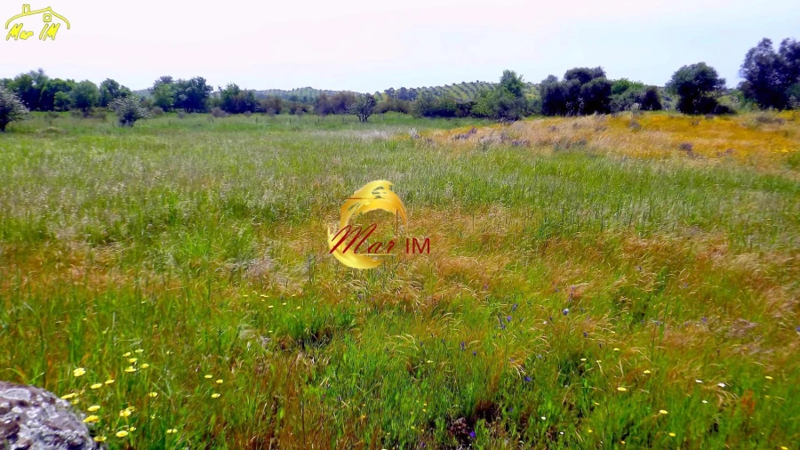 Terreno Agricola ou Rústico para Venda em Azinhal Foto 29