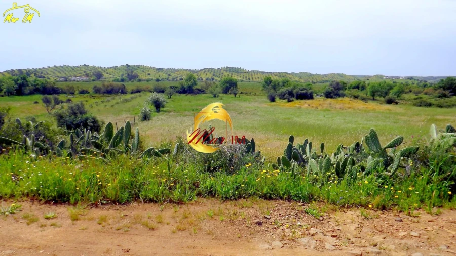 Terreno Agricola ou Rústico para Venda em Azinhal Foto 3