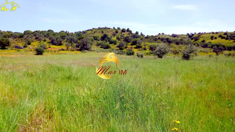 Terreno Agricola ou Rústico para Venda em Azinhal
