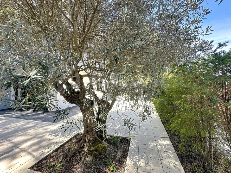 Moradia T4 para Venda em Caminha (Matriz) e Vilarelho Foto 34