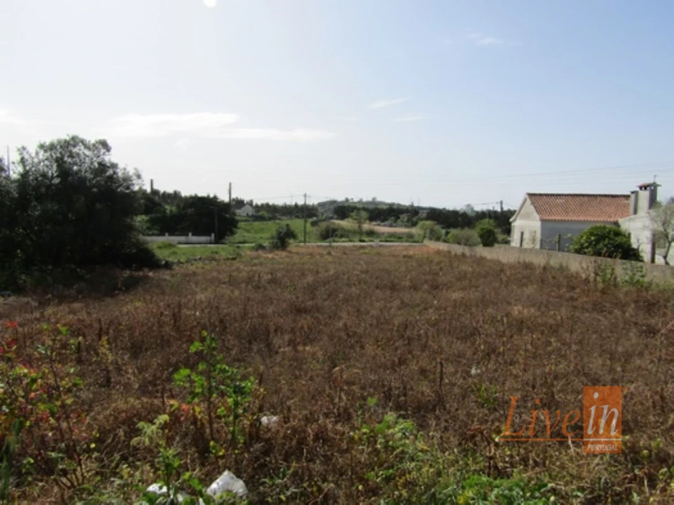 Terreno para Venda em Lousa Foto 7