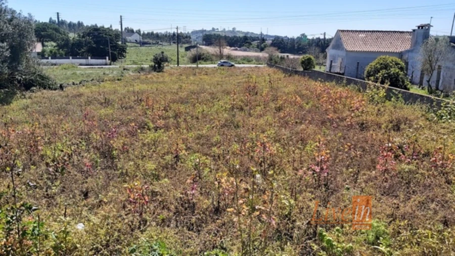 Terreno para Venda em Lousa