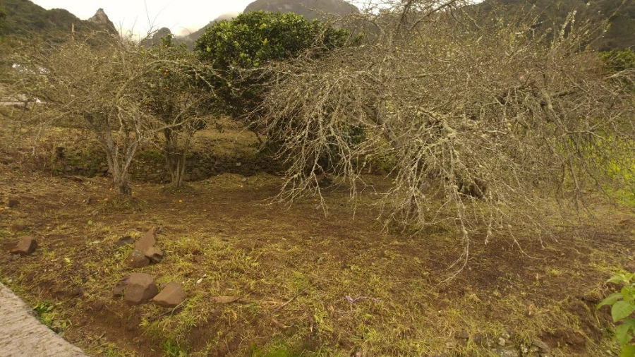 Terreno para Venda em São Vicente Foto 6