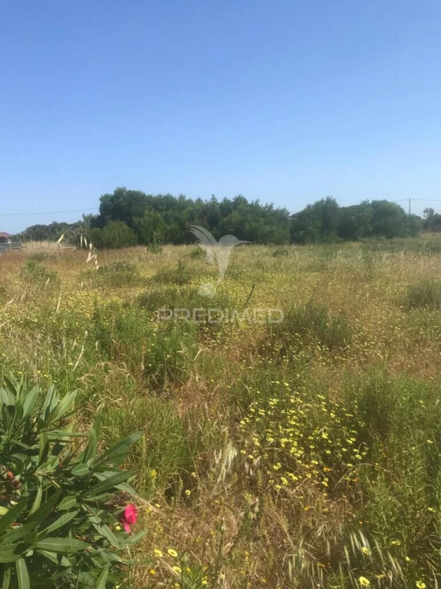 Terreno para Venda em Vila Nova de Milfontes Foto 2