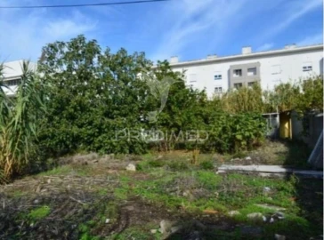 Terreno para Venda em Ajuda