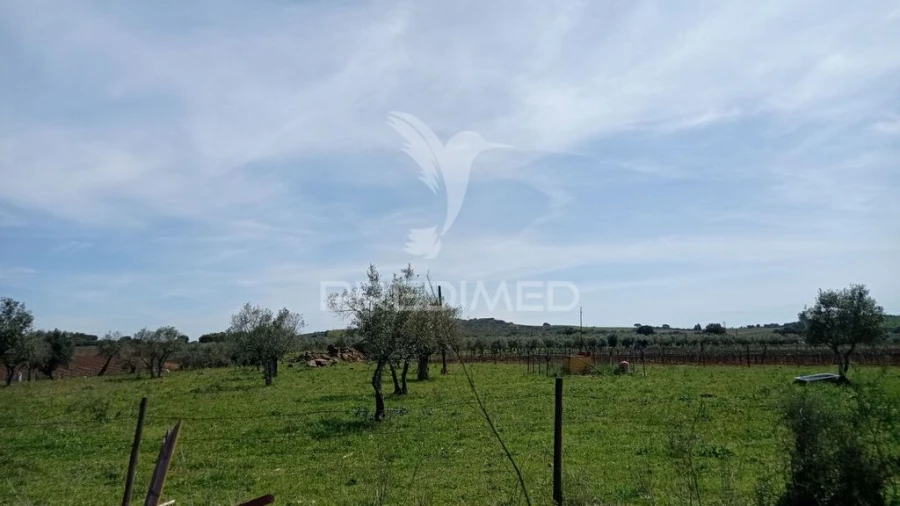 Moradia T2 para Venda em Evora Monte (Santa Maria) Foto 13