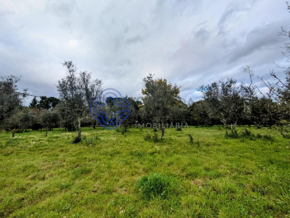 Terreno para Venda em Silgueiros Foto 12