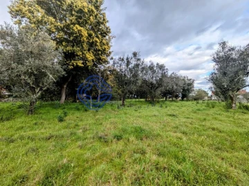 Terreno para Venda em Silgueiros