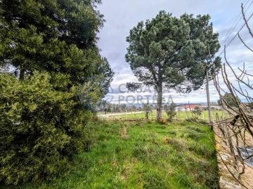 Terreno para Venda em Silgueiros
