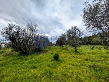 Terreno para Venda em Silgueiros