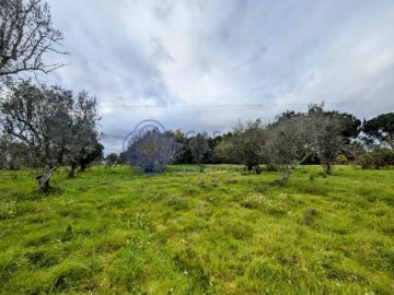 Terreno para Venda em Silgueiros