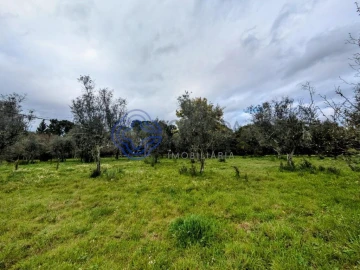 Terreno para Venda em Silgueiros