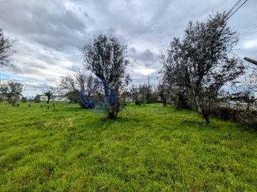 Terreno para Venda em Silgueiros